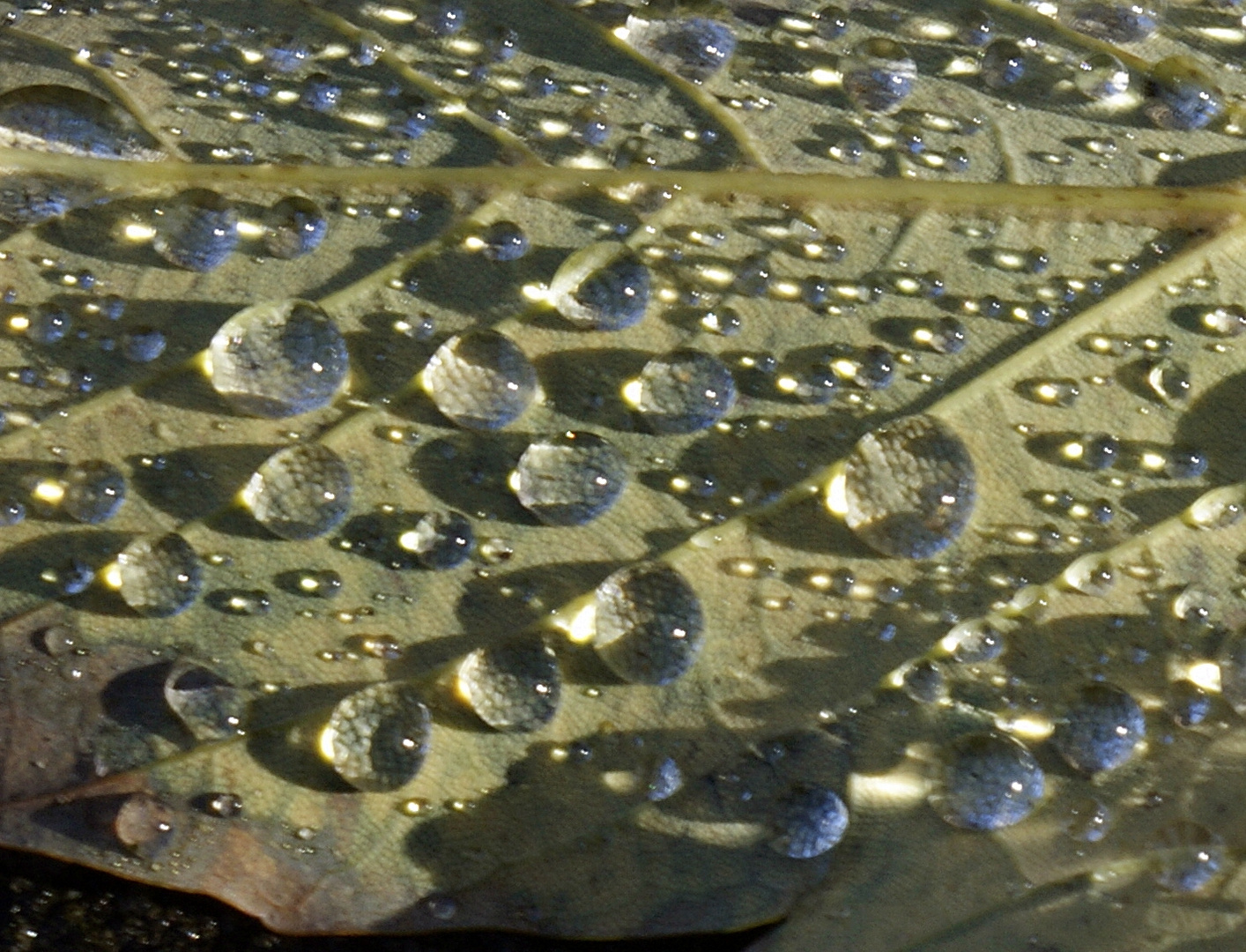 Wasser Topfen