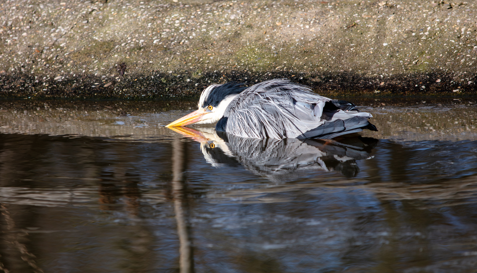 Wasser trägt