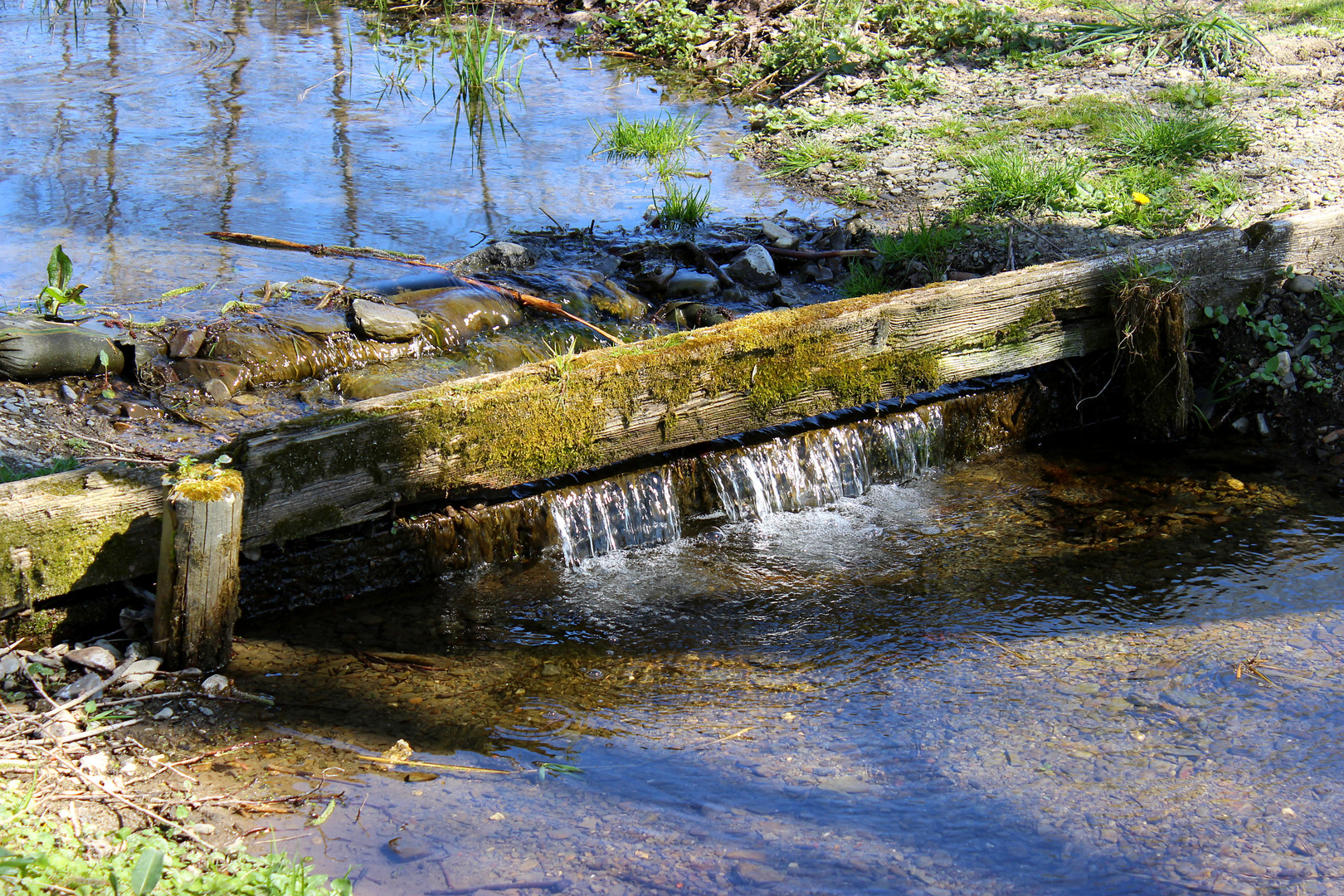 Wasser Träume