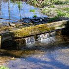 Wasser Träume