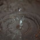 Wasser Tropf Macro