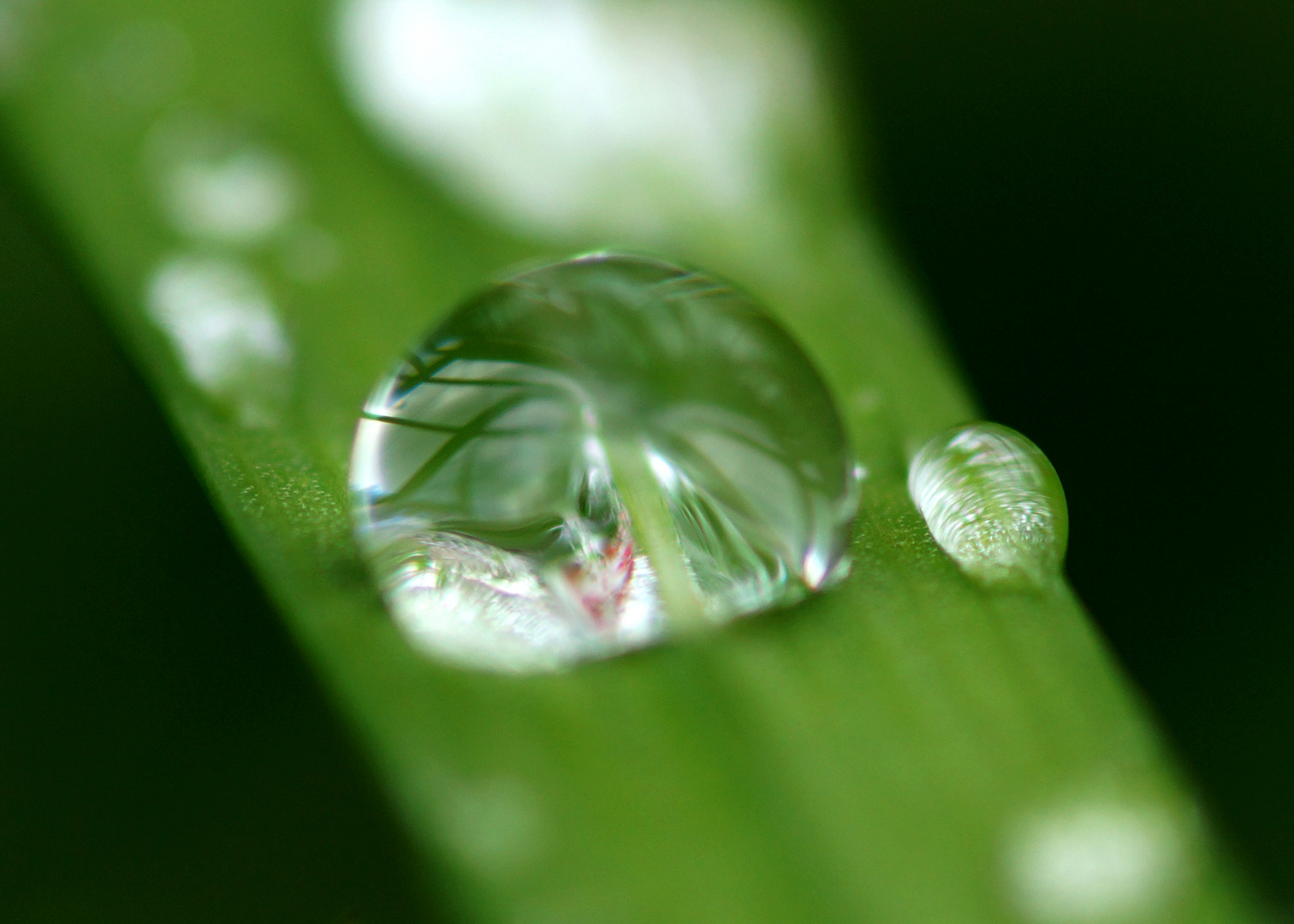 Wasser Tropfen