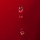 Wasser Tropfen Rot