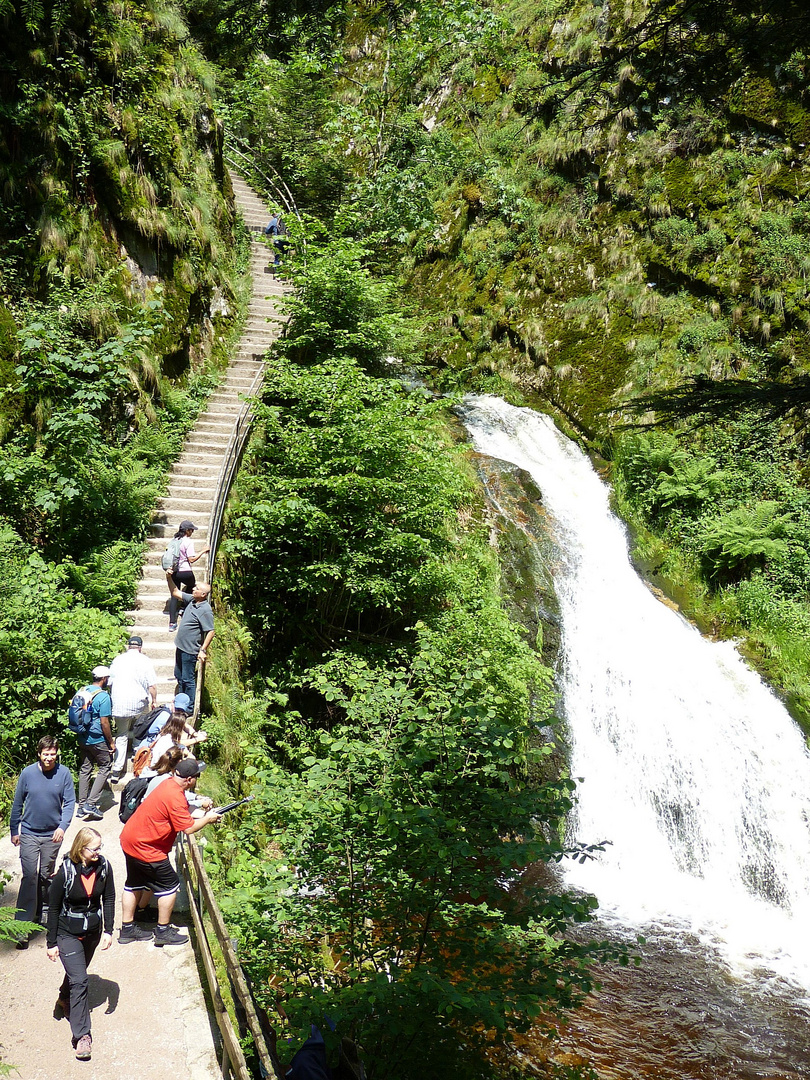 Wasser-u. Treppfall