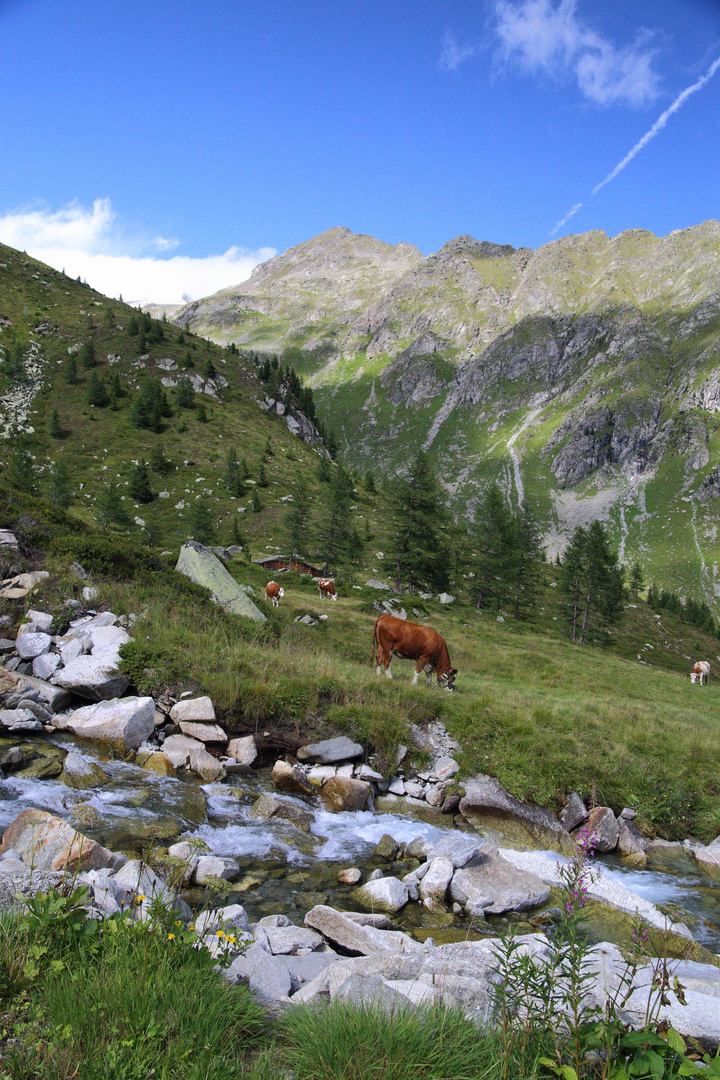 Wasser unbeschreiblich gleich veränderlich