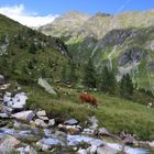 Wasser unbeschreiblich gleich veränderlich