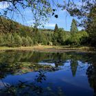 Wasser und Bäume