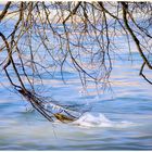 Wasser und Eis im Fluss (Isar)