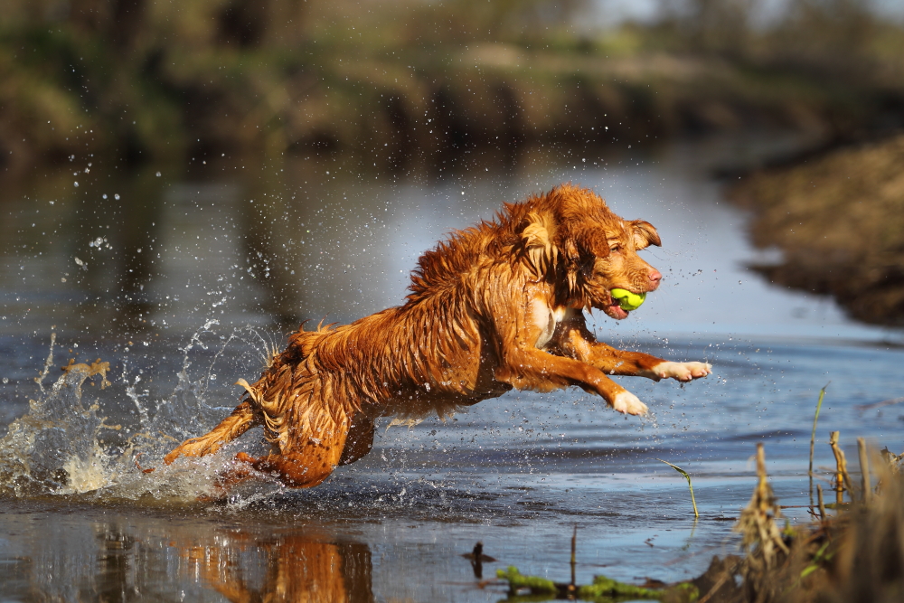 Wasser und Energie !