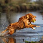 Wasser und Energie !