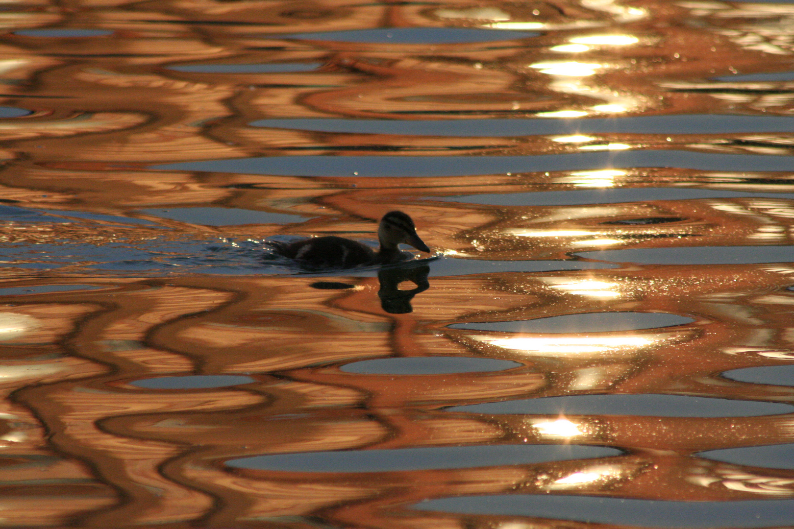 Wasser und Farben