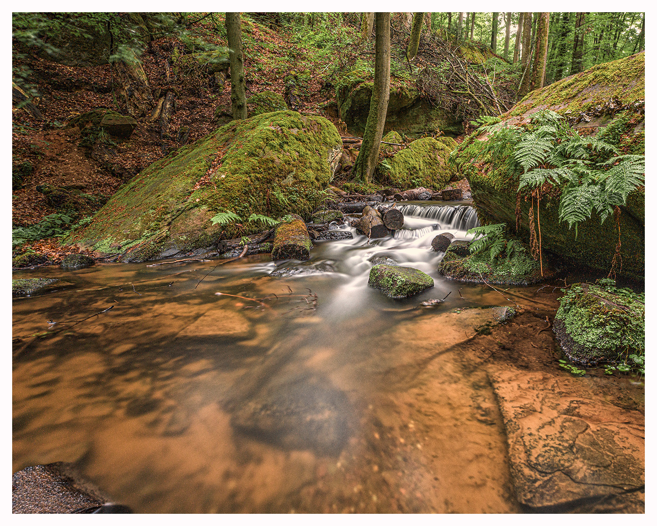 Wasser und Felsen