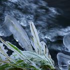 Wasser und Frost # 4