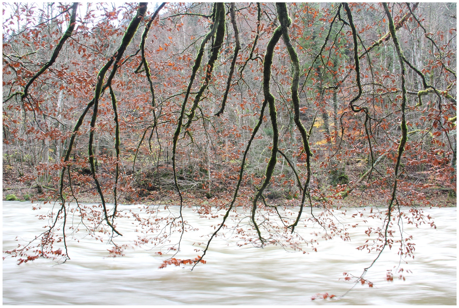 Wasser und Herbst