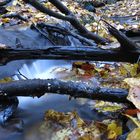 Wasser und Herbstlaub vereinigen sich !