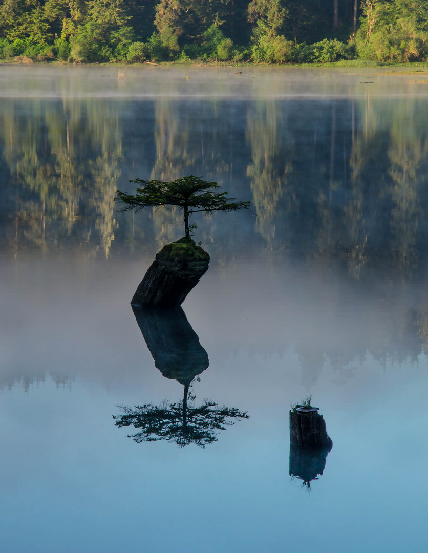 Wasser und Land