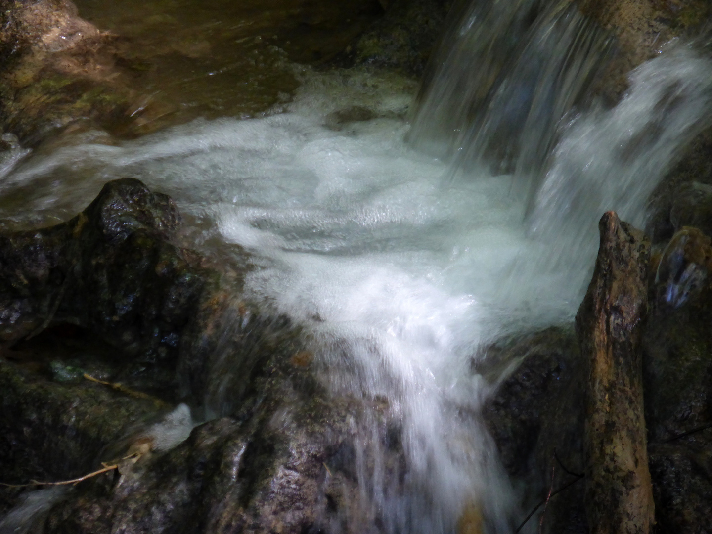 Wasser und Leben