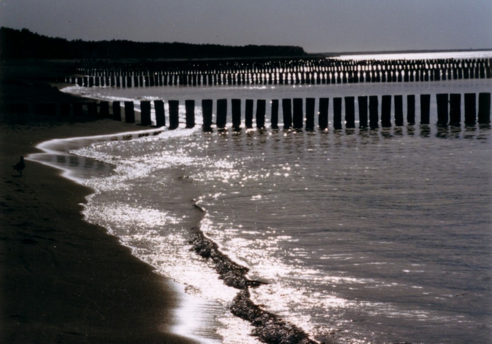 Wasser und Licht