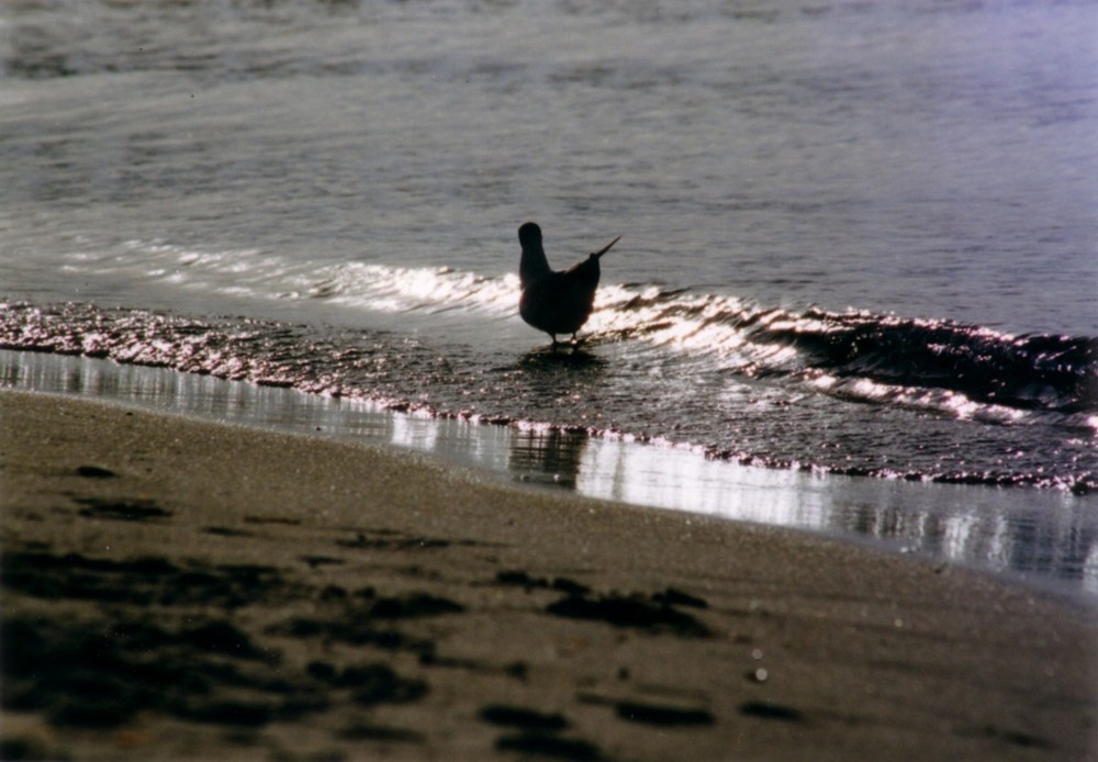 Wasser und Licht