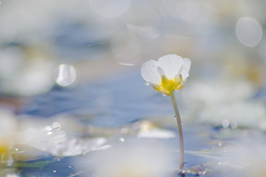 wasser und licht