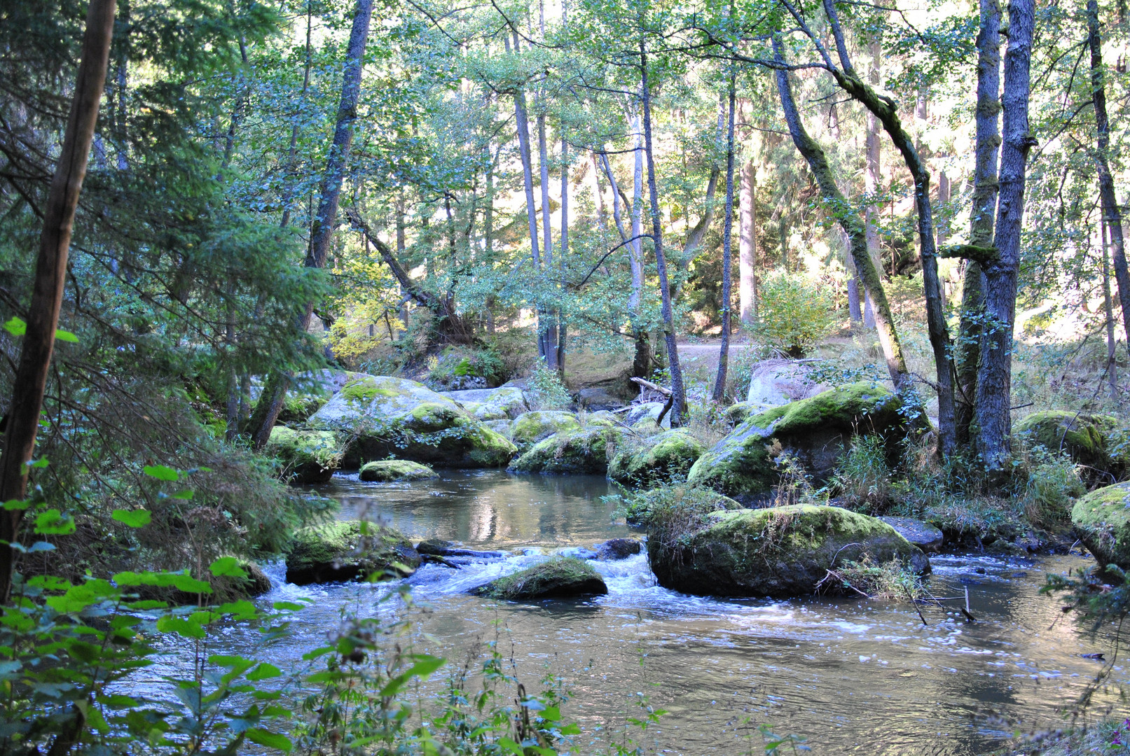 Wasser und Stein