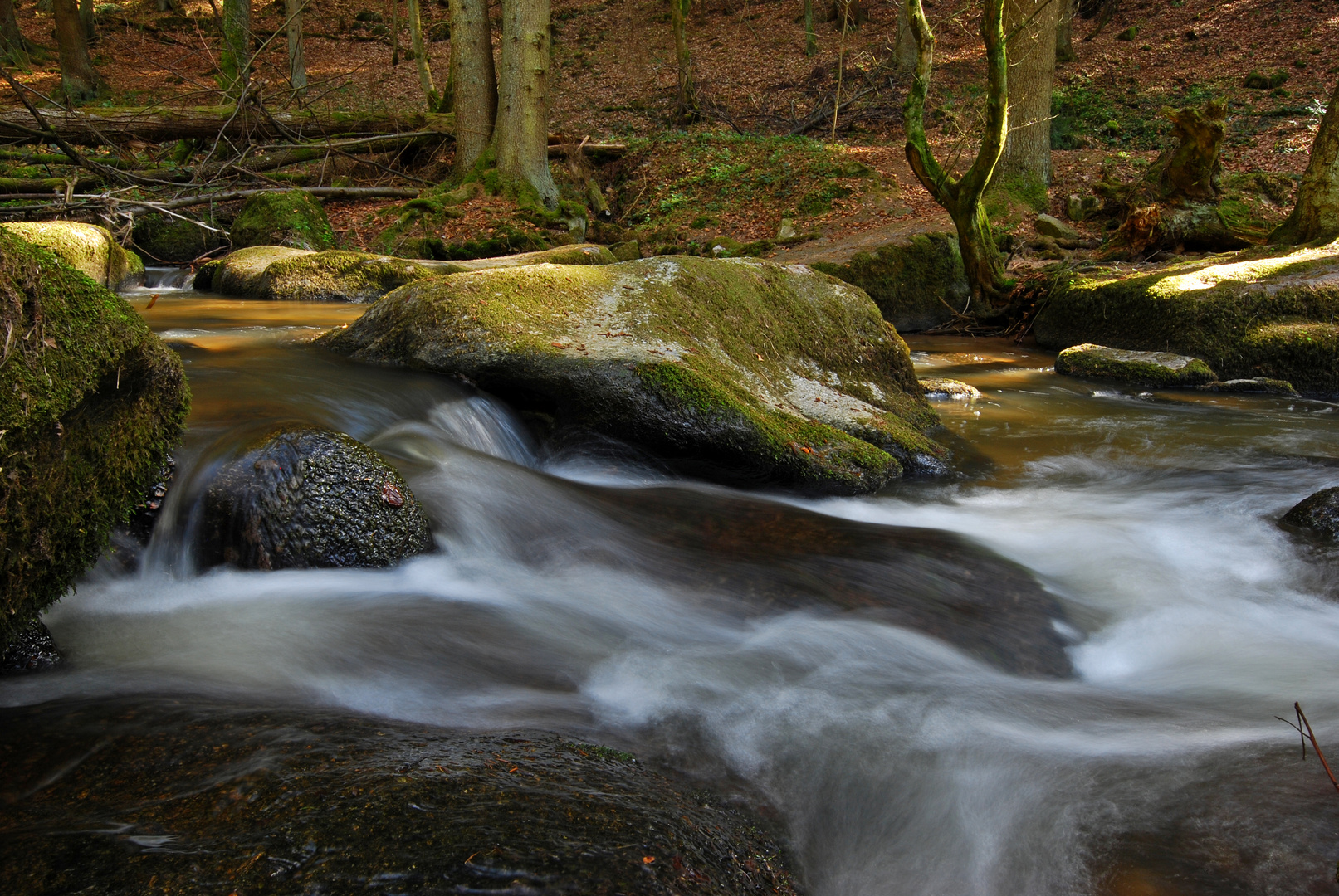 Wasser und Stein