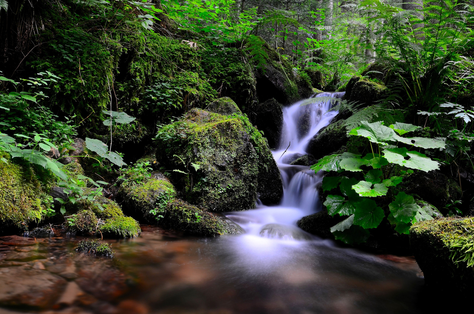 Wasser und Steine