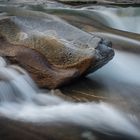 Wasser und Steine im Verzascatal