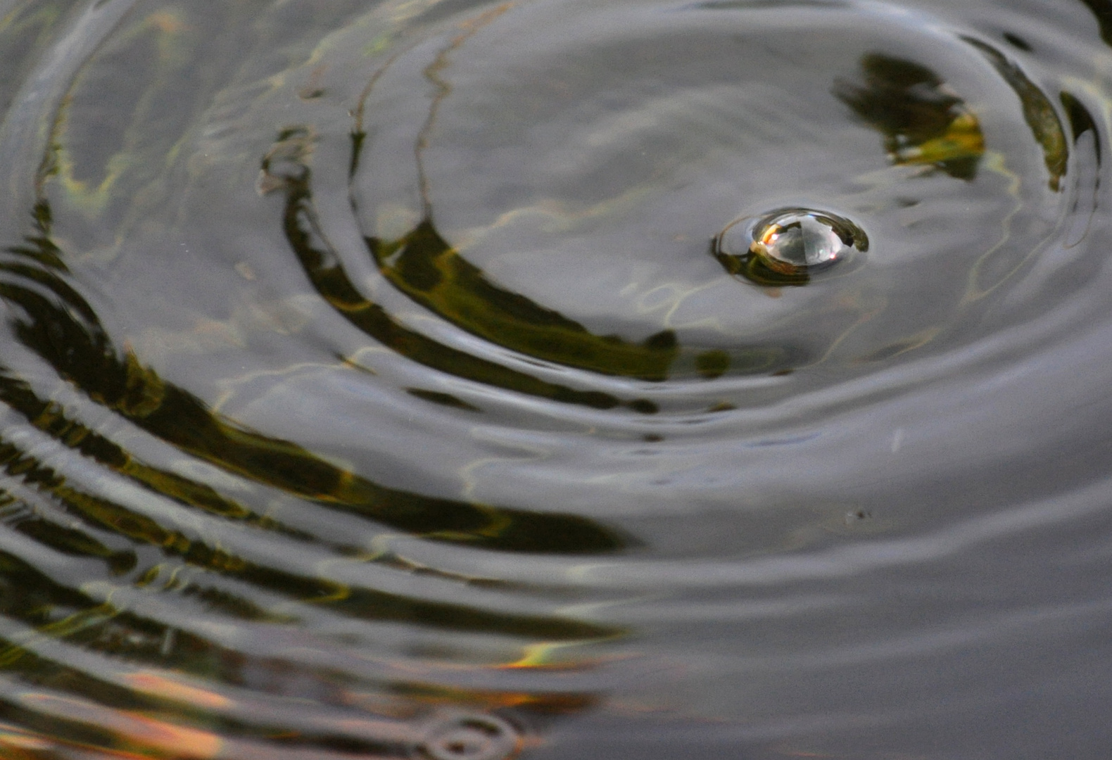 Wasser und Tropf