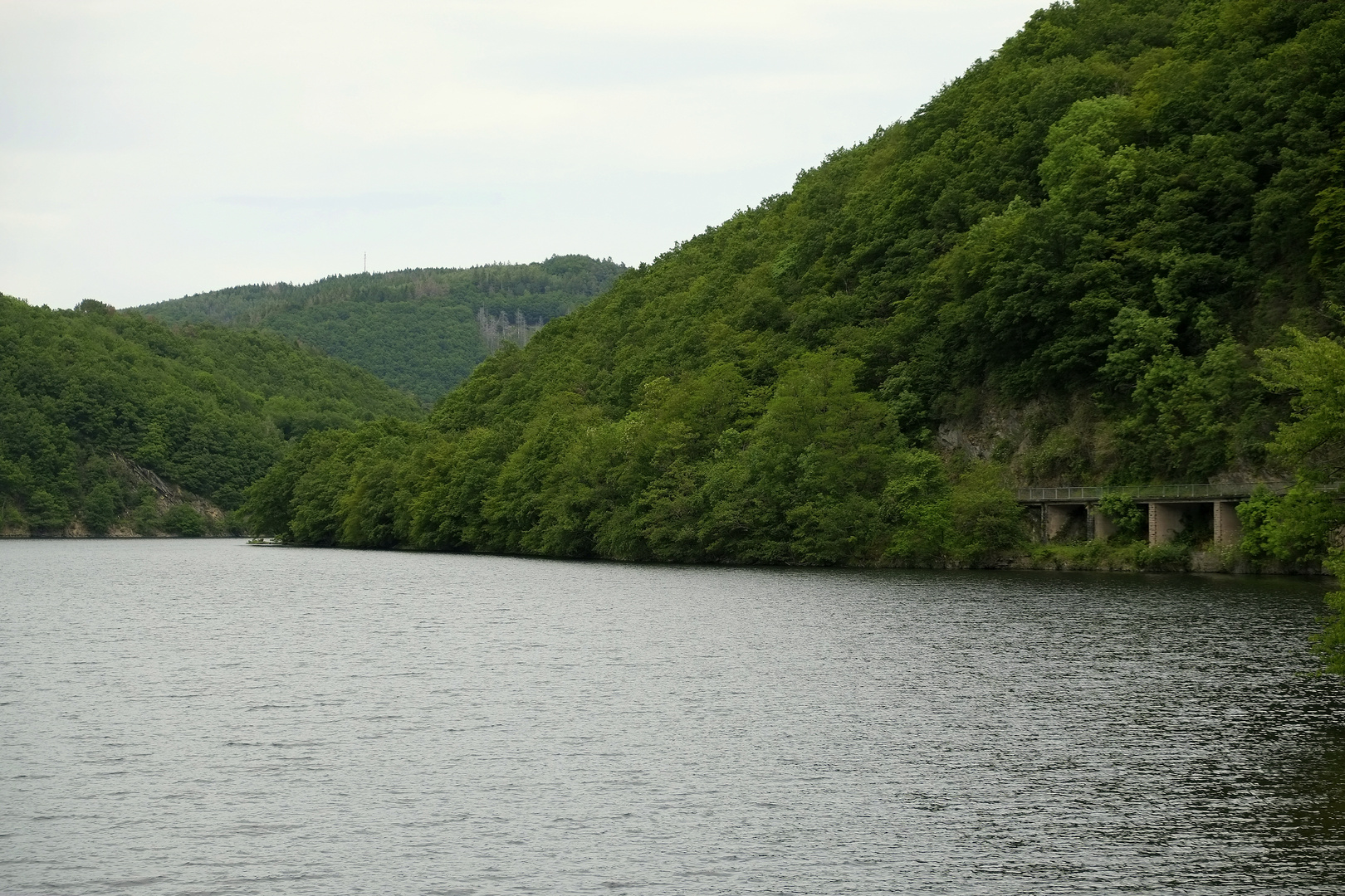 Wasser und Wald