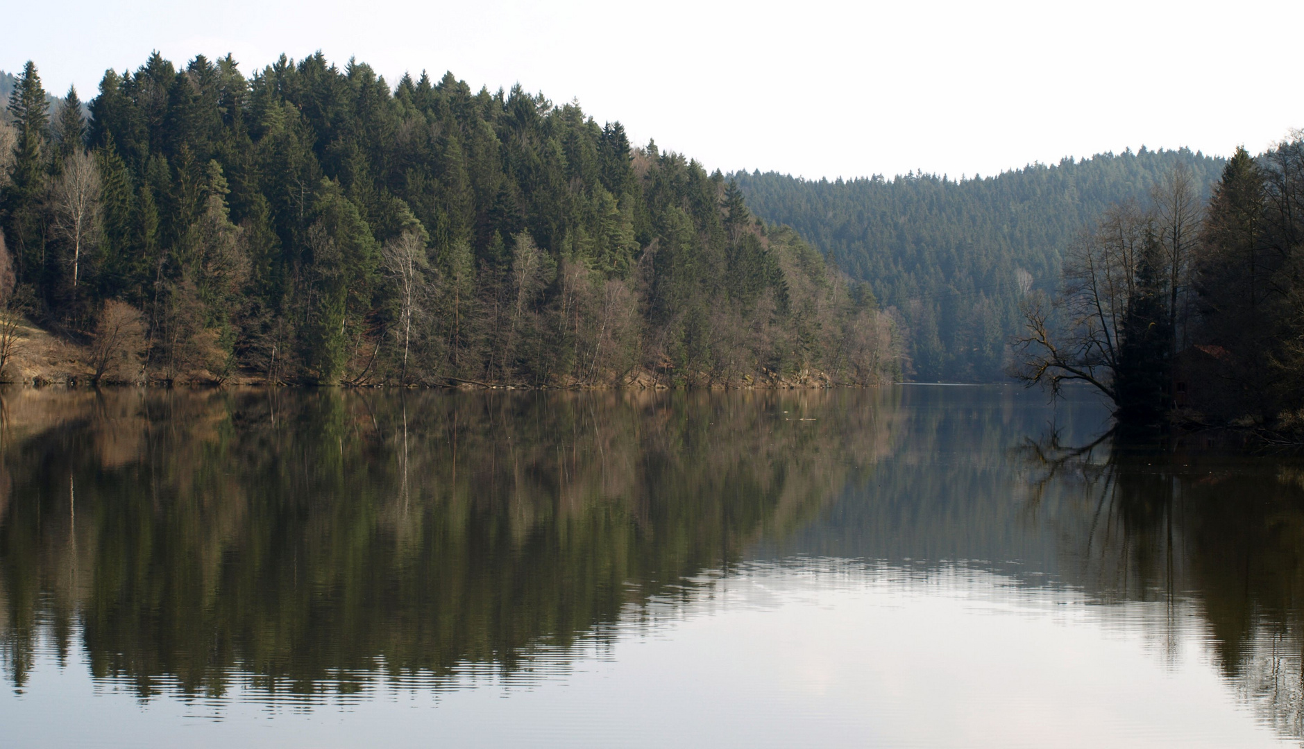 Wasser und Wald