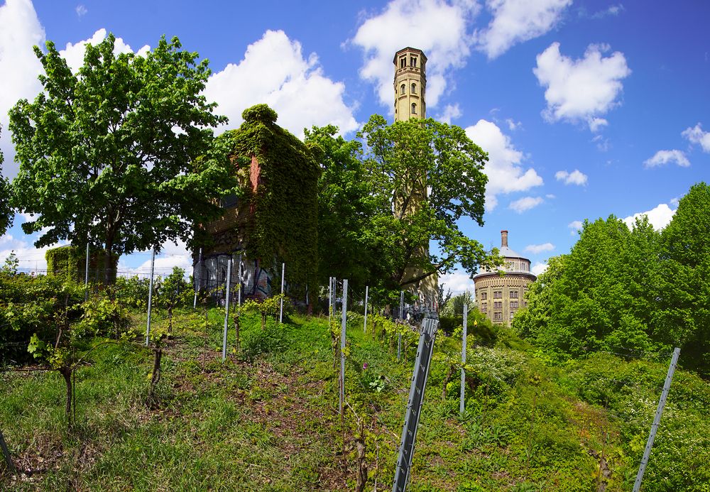 Wasser und Wein