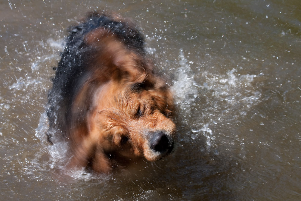 Wasser und Wolke 2