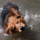 Wasser und Wolke 2