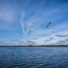 Wasser und Wolken