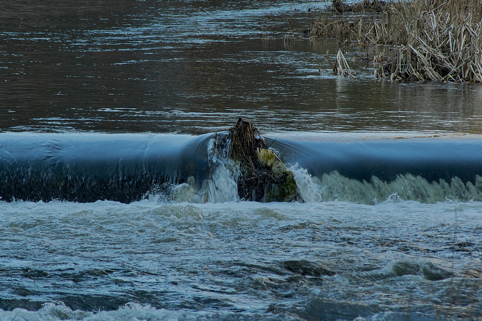 Wasser und Wurzel..