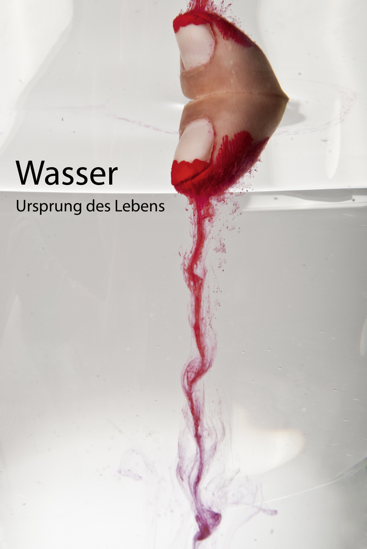 Wasser - Ursprung des Lebens