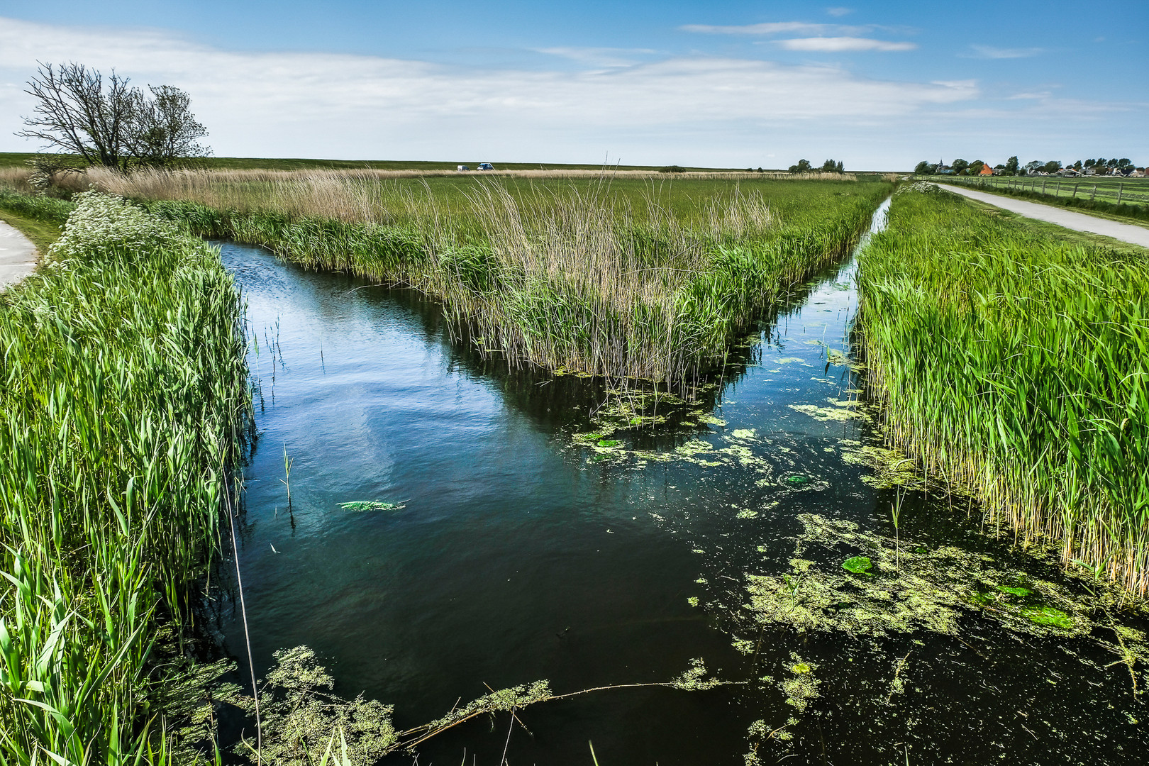 Wasser verbindet