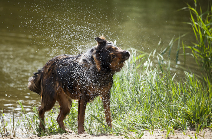 Wasser-Vergnügen