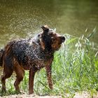 Wasser-Vergnügen