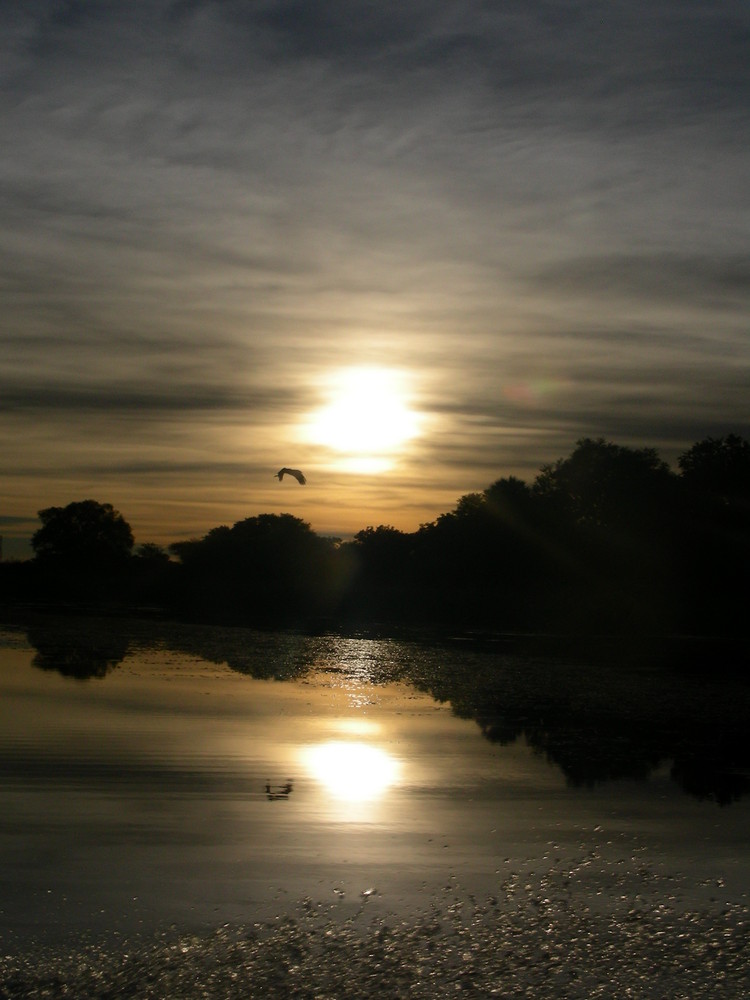 Wasser- Vogel- Himmel