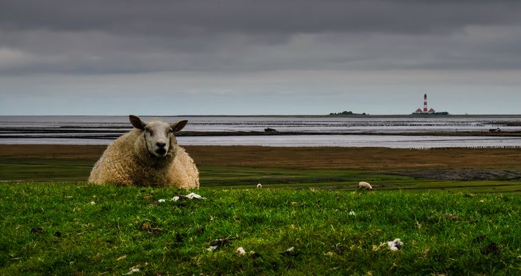 Wasser von allen Seiten