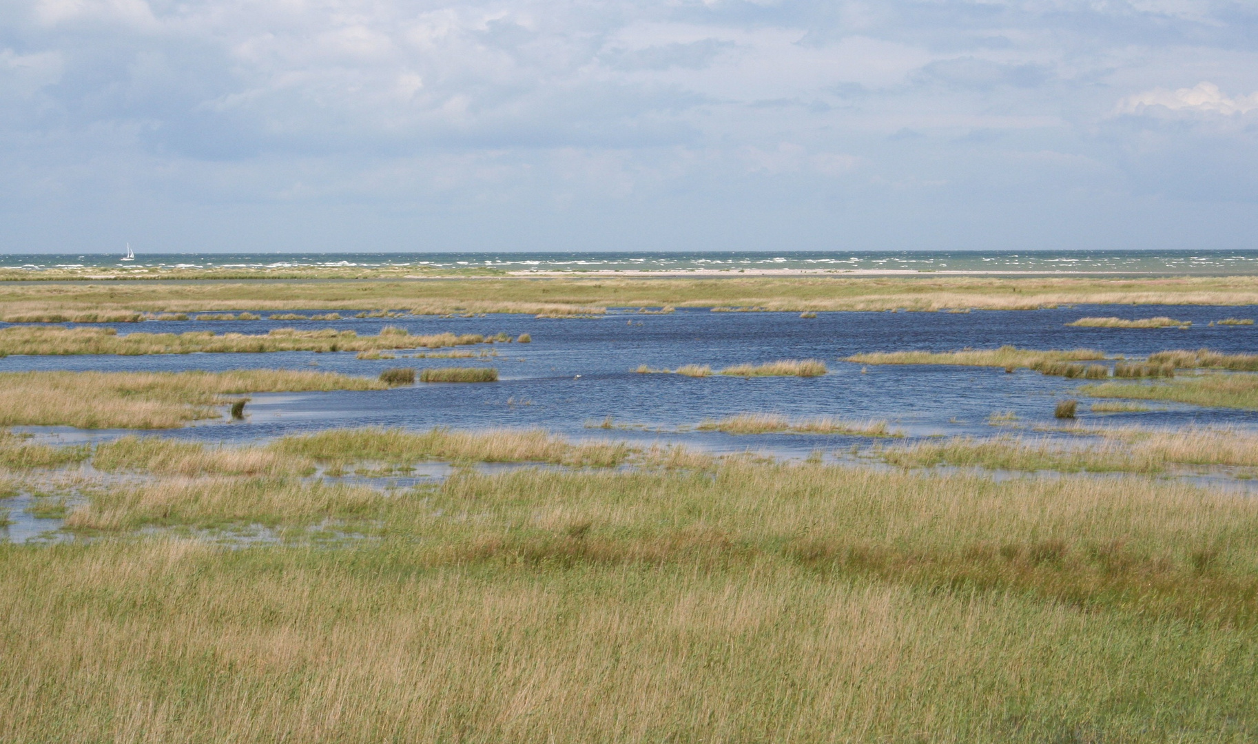 Wasser vor dem Wasser auf Zingst