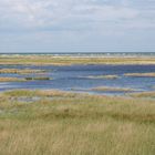 Wasser vor dem Wasser auf Zingst