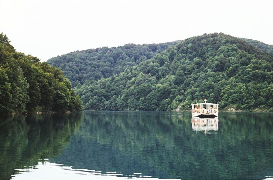 Wasser, Wald und Felsen: Wasser