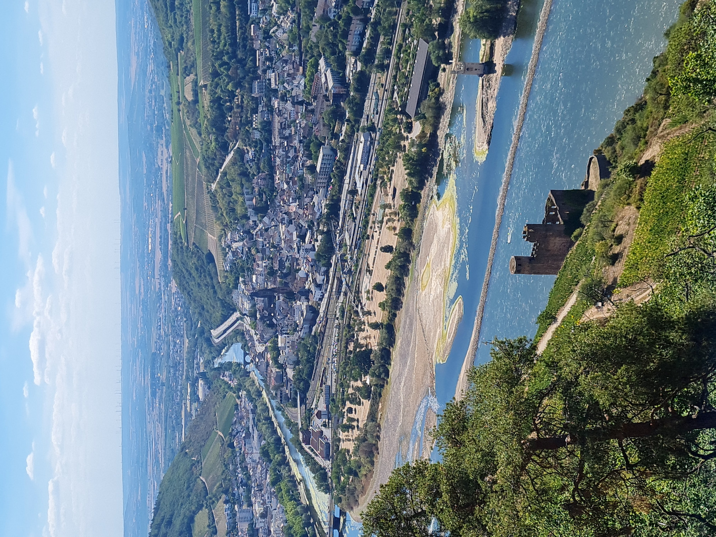 Wasser war knapp - Der Rhein bei Bingen