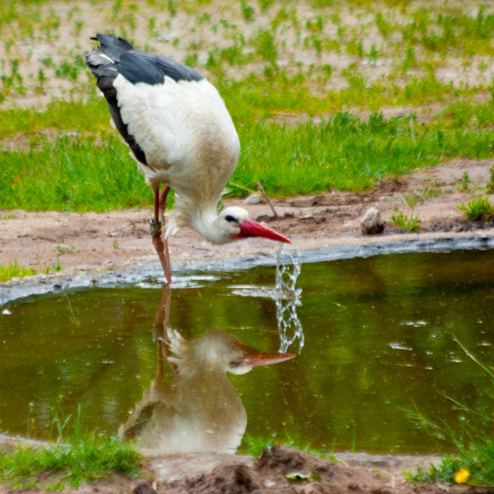 Wasser, Wasser ...