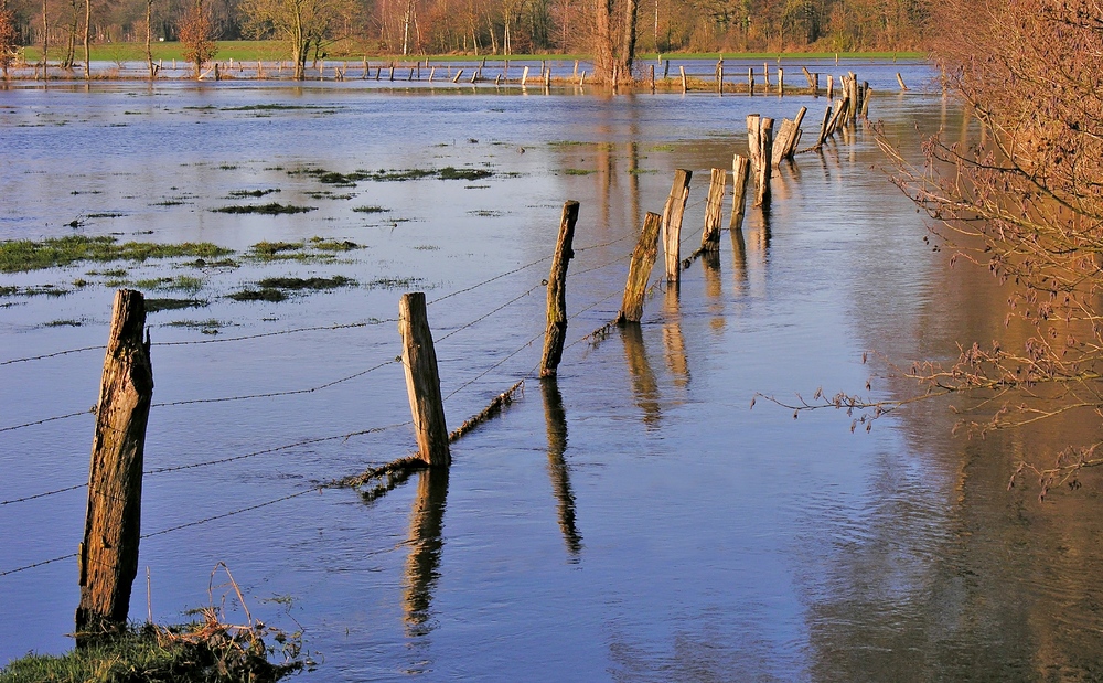 Wasser, Wasser - soweit das Auge reicht