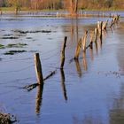 Wasser, Wasser - soweit das Auge reicht