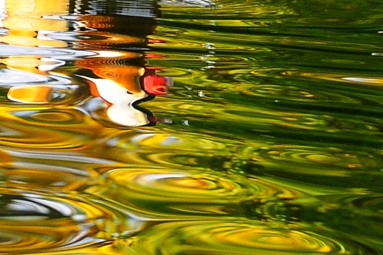 Wasser-Wellen-Spiegelung